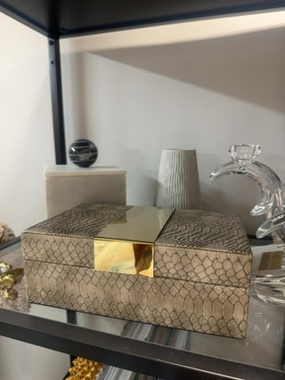 Aux reptile decorative box