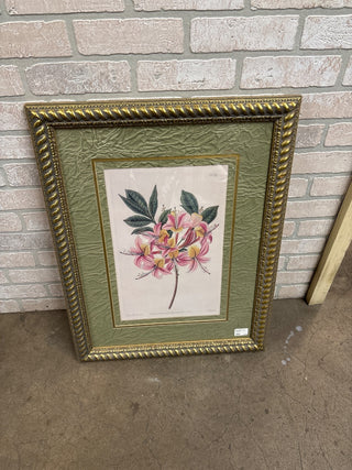 Beautifully Framed Botanical