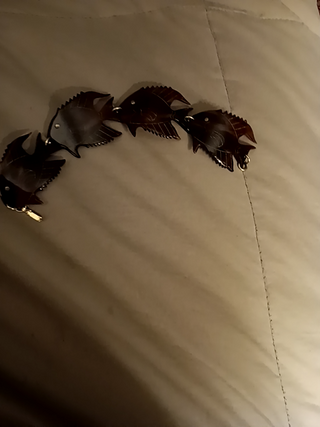 VintTortoiseBrace