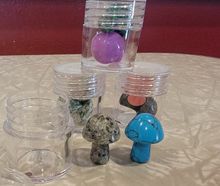 2pk mini shrooms