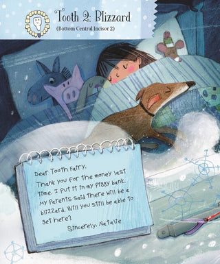 Letters from My Tooth Fairy Picture Book | Hardcover Book