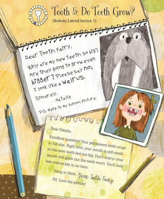 Letters from My Tooth Fairy Picture Book | Hardcover Book