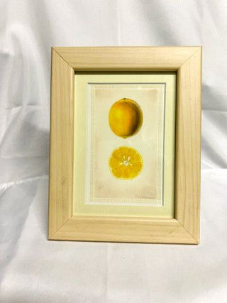 Lemon Print in Blonde Wood Frame 5x7
