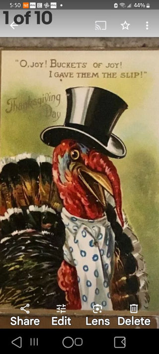 Top Hat Turkey