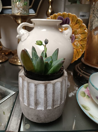 Mini Cement Pot 4"tall