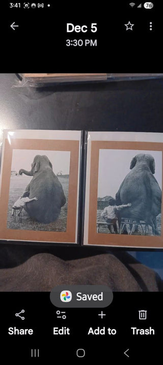 Elephant Love Card