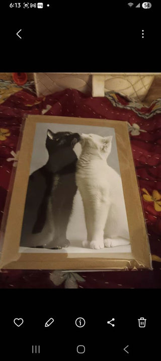 Cat Kiss Blank Card