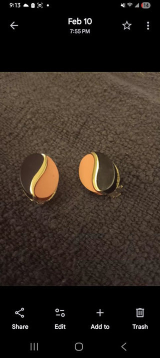 Cool 70s 2 tone Clips