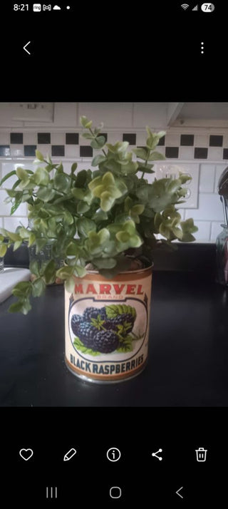 Faux Plant in Marvel Can