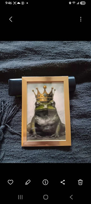 COOL Frog Prince Framed
