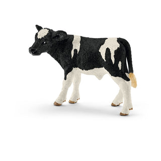 Holstein calf Price is Firm