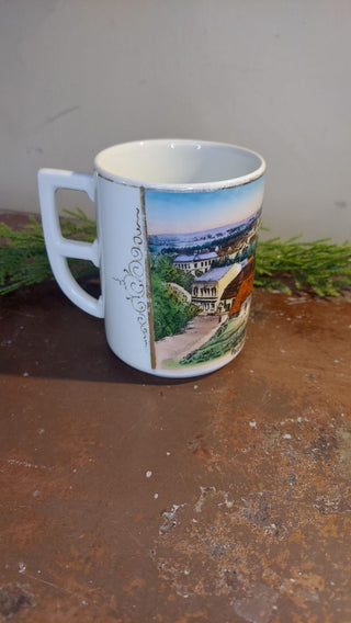 Antique "greetings from Německý Brod" Village scene - Czech to English - Porcelain Gift souvenirMug, by Ges Gesch Pottery - Germany, unique rare handle