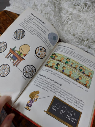 1980 Charlie Brown's cyclopedia super questions and answers and amazing facts featuring your body volume 1 by Funk & Wagnalls inc As-Is