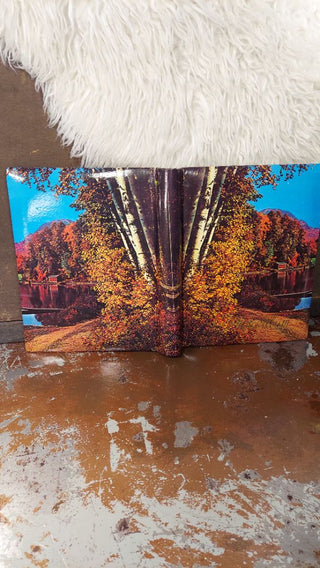 1970s Unused - Photo Album with Autumn Lake Scene Cover