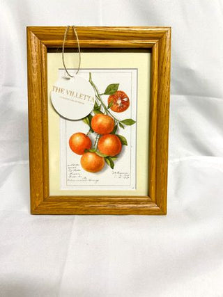 Oranges Print in Wooden Frame 5x7