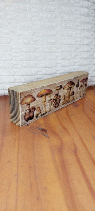 Fungi Mushrooms Light Wood Block Print Art, Illustrations for Le Larousse Pour Tous, by Adolphe Millots botanical Natural History art