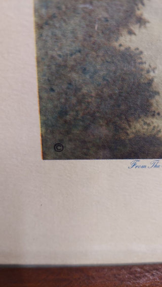 "Our Flag” by Fred Tripp, 1940s framed original lithograph art print by McCleary Hospital in Excelsior Springs, Missouri with story.