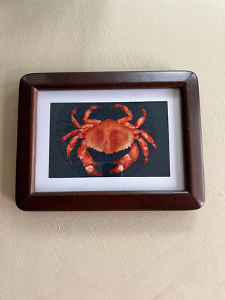 Navy Crabby Print