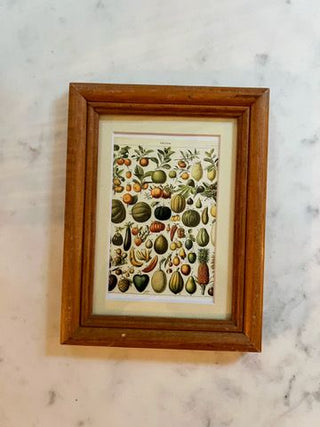 Veggies Art Print