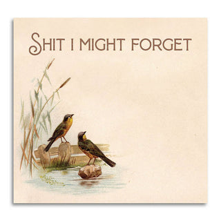 Shit I Might Forget - Funny Sticky Note Pad