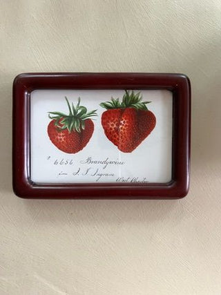 Strawberries in Red Bubble Frame