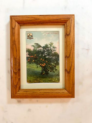 Orange Pickers 5x7
