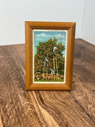 Orange Pickers 4x6"