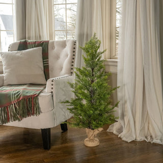 37" Cedar Tree with Burlap Base