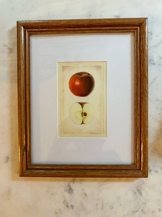 Apple Art Print 8x10