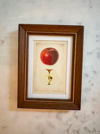 Apple Art Print 5x7