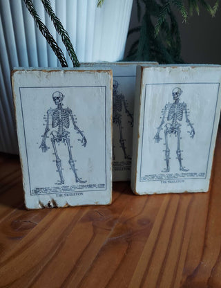 "The Skeleton" Artisan Wood print - FIRM