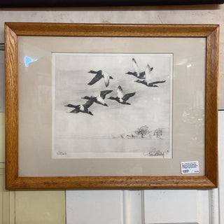 Richard Evett Bishop, Black and White Ducks in Flight reproduction - 17.5"W x 15"T