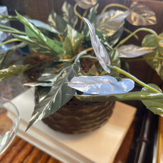 Faux plant in brass planter