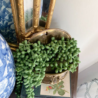 Vintage Brass Wall Hanging Planter with Faux String of Pearls Plant | 8.5" x 6.5" | CA