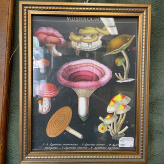 Mushroom Print/Ornate Frame - 12.5" x 15.5"