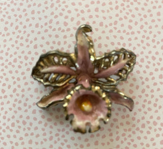 Broach Flower Orchid