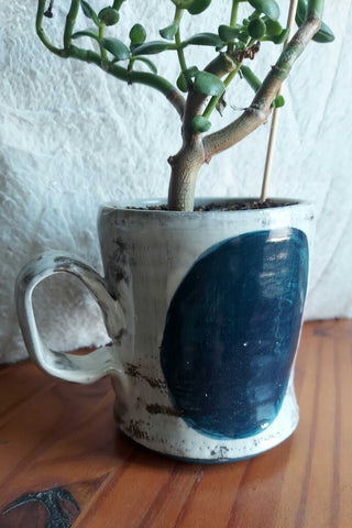 LIVE Jade Bonsai Plant in Local Artisan Made Mug FIRM - IN-STORE PICKUP ONLY