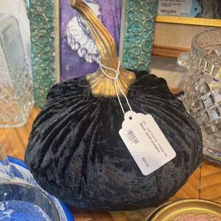 Black velvet pumpkin