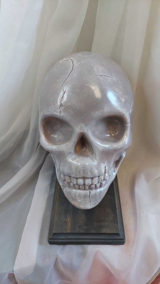 Artist Original - large human skull on display mount life size plaster sculpture FIRM