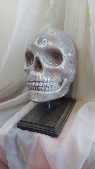 Artist Original - large human skull on display mount life size plaster sculpture FIRM