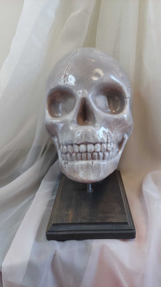 Artist Original - large human skull on display mount life size plaster sculpture FIRM