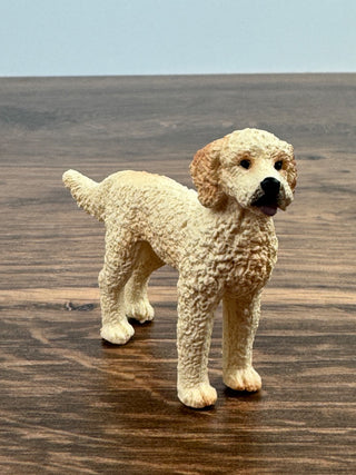 Goldendoodle