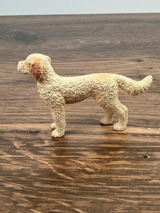 Goldendoodle