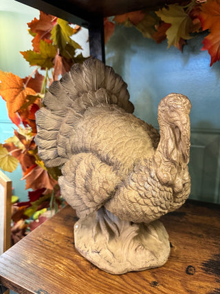 Standing Turkey