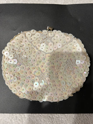 Beaded & Sequenced  Clutch Purse