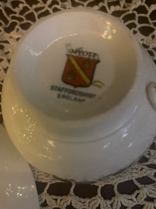 Vtg Myott Staffordshire Rose Blue Tea Cup and Saucer Set