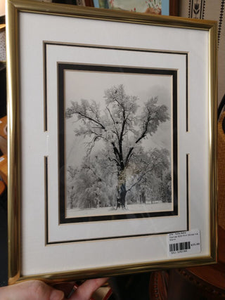 Framed B/W Print Winter Ice Storm