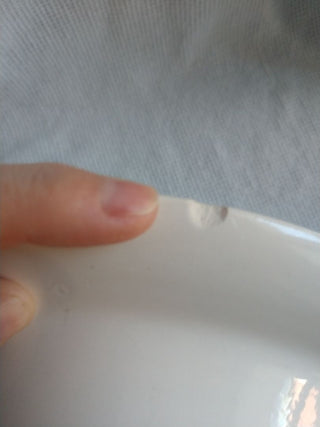 10" Blue Willow Royal Ohio Serving Bowl w flaw