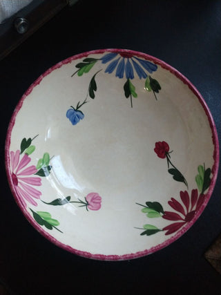 Blue Ridge Hand Painted Southern Potteries USA