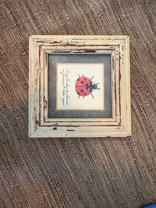 framed ladybug picture